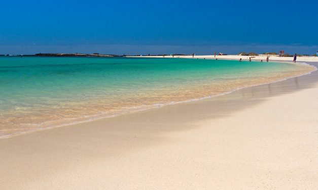 Cheap holidays in Fuerteventura: where a bit of advice might go a long way in saving!
