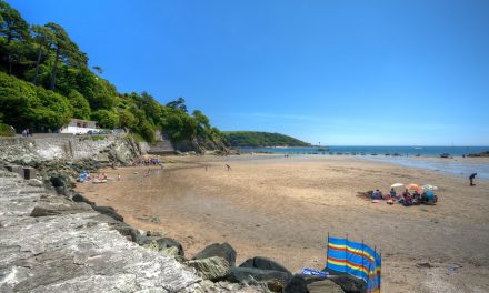 Holidays for special occasions in South Devon!